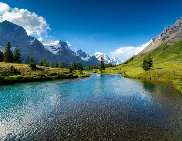 Une escale paisible au centre de paris : l'hôtel des marronniers