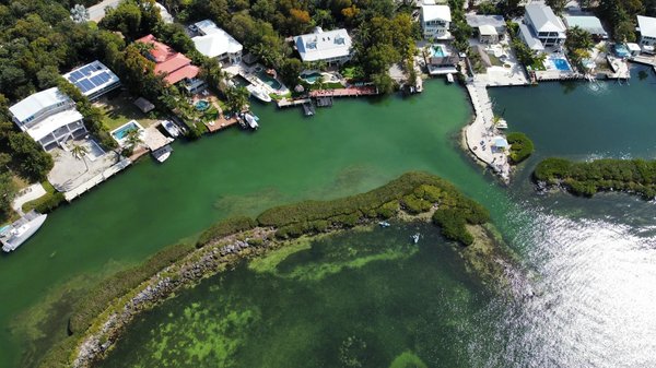 Quels sont les conseils pour un camping en région de mangroves en période de marées hautes?